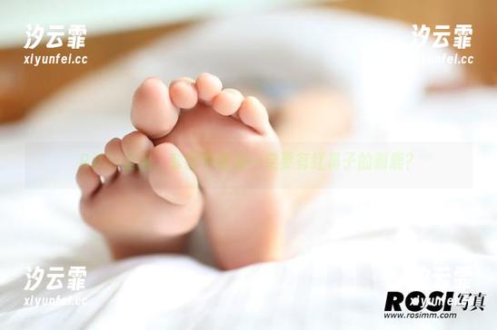 ROSI ROSI圣诞,套图中谁说一定要有红鼻子的驯鹿?
